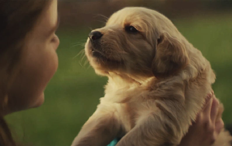 This Commercial Makes Me Want to Adopt a Puppy. So Touching.