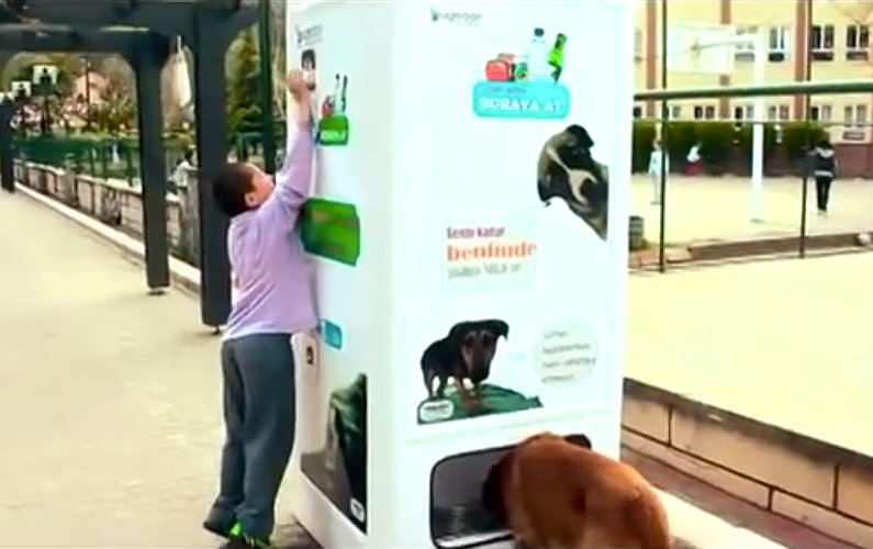 Your Empty Bottles can Help Feeding Stray Dogs