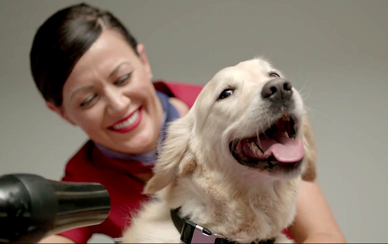 Airport Lounge for Pets: Only Virgin Australia can Pull it Off!