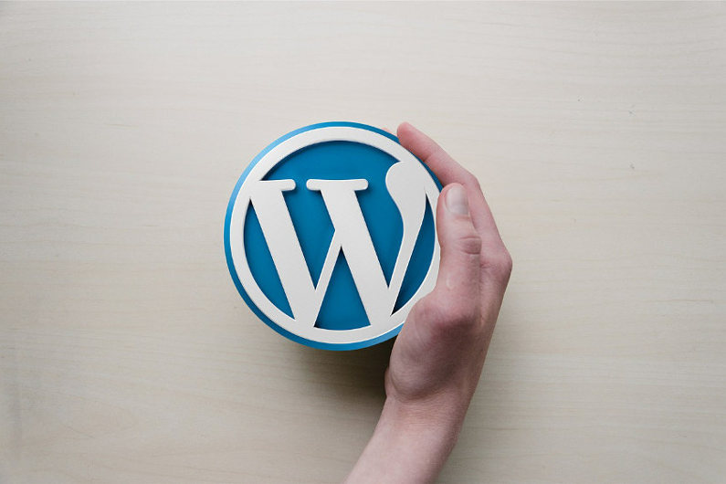 You Probably Didn’t Know that WordPress Had THIS (and an Infographic to Make Our Point)