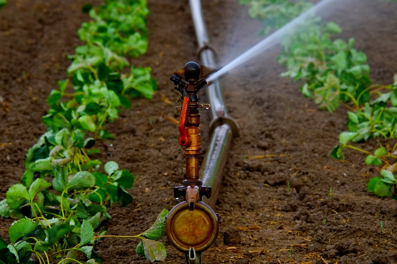 Water sprinkler in farm business